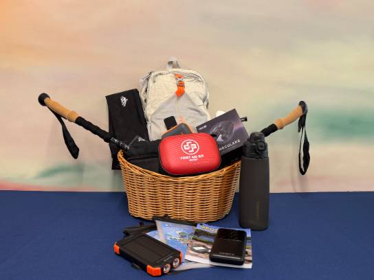 Image of the Item