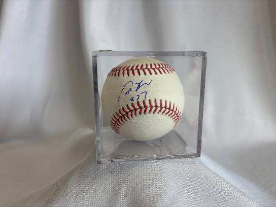 Image of the Item