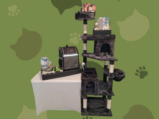 Image of the Item