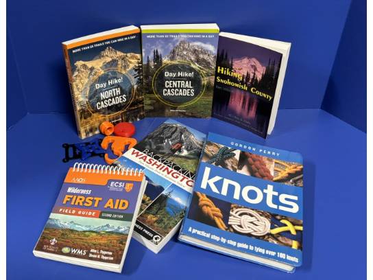 Image of the Item