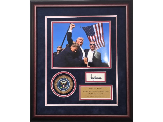 Image of the Item