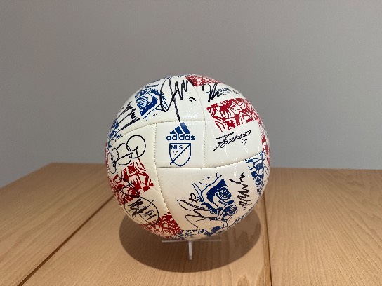 Image of the Item