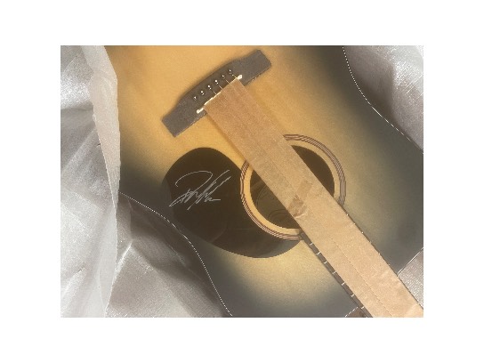 Image of the Item