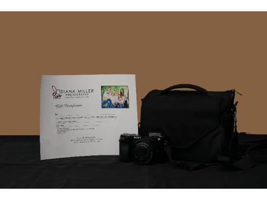 Image of the Item