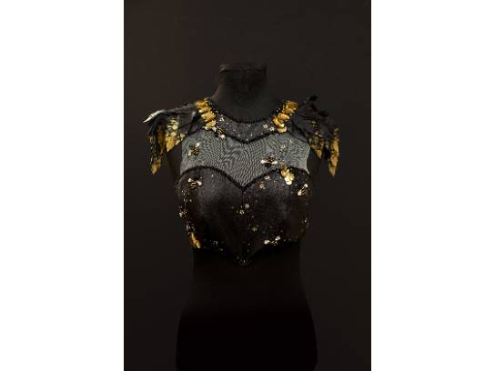 Image of the Item