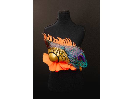 Image of the Item