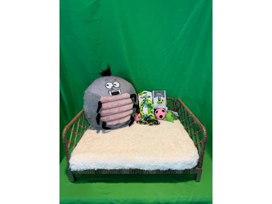 Image of the Item