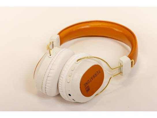 Image of the Item