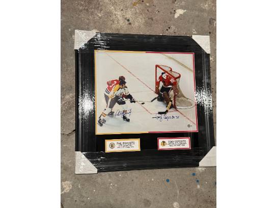 Image of the Item