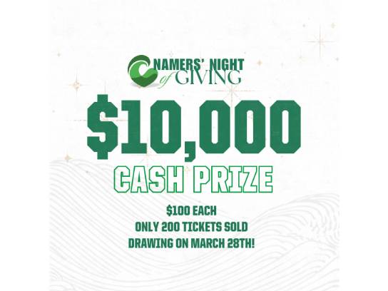 Gold Raffle Nitgh Namers Night of Giving | Powered By GiveSmart