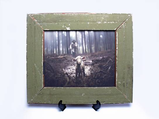 Image of the Item