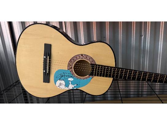 Image of the Item