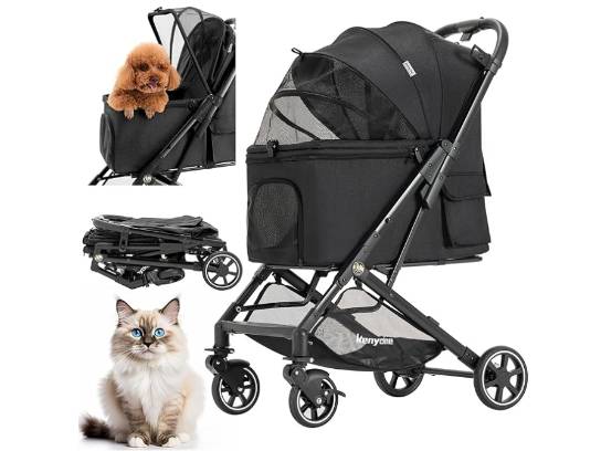 AZ Humane CWF 2026 | Powered By GiveSmart