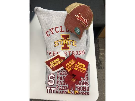 Image of the Item