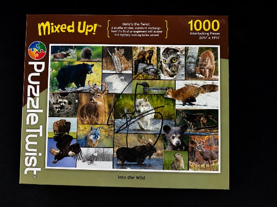 Image of the Item