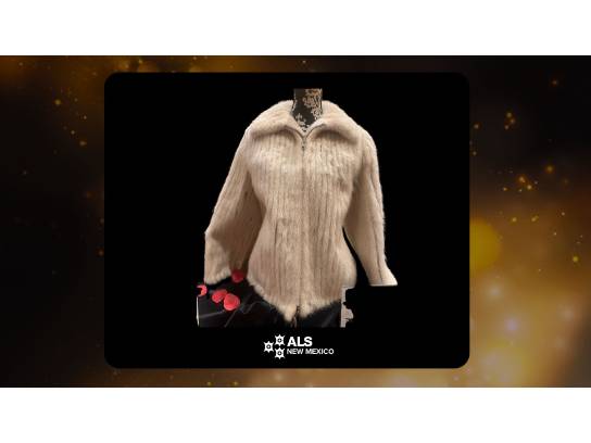 Image of the Item
