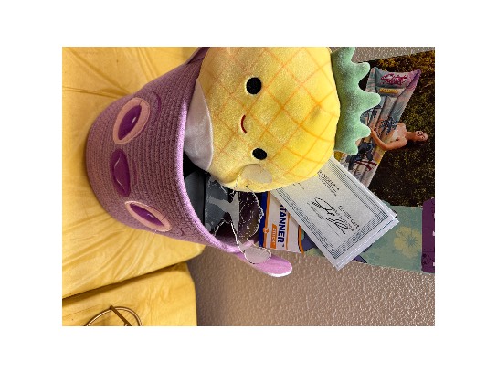 Image of the Item