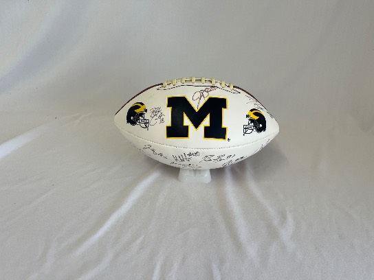 Image of the Item