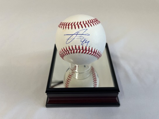 Image of the Item