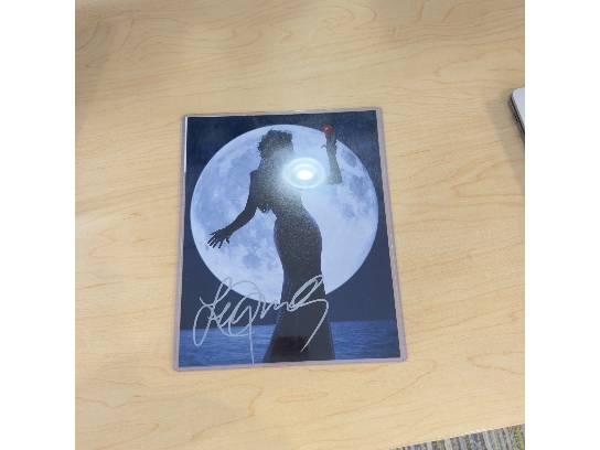 Image of the Item