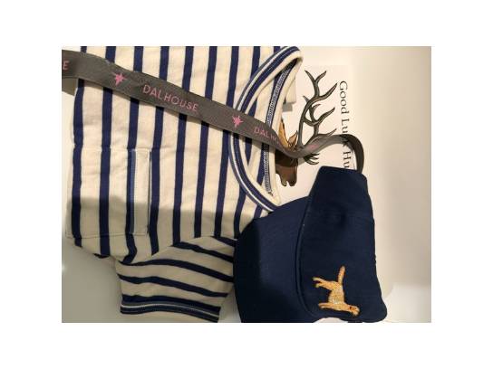Image of the Item