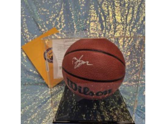 Image of the Item