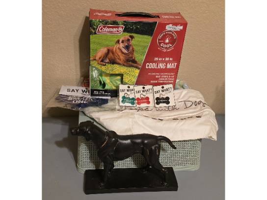 Image of the Item