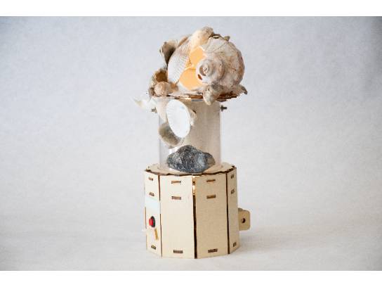 Image of the Item