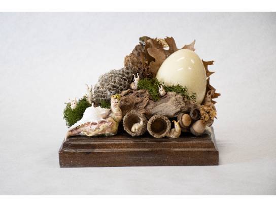 Image of the Item