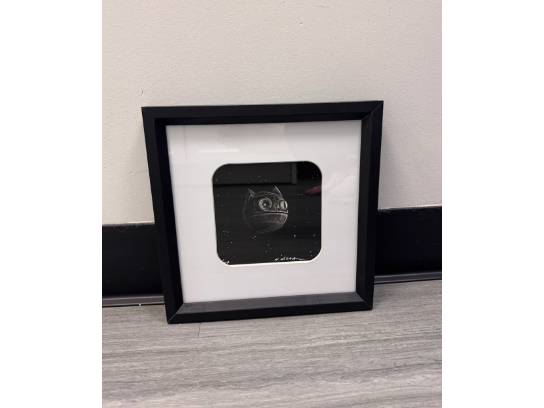 Image of the Item