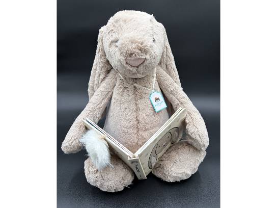 Image of the Item