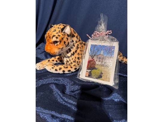 Image of the Item