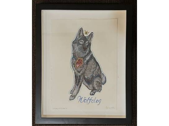 Image of the Item