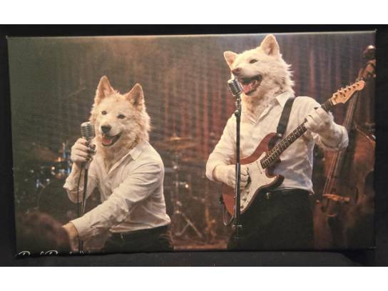 Image of the Item
