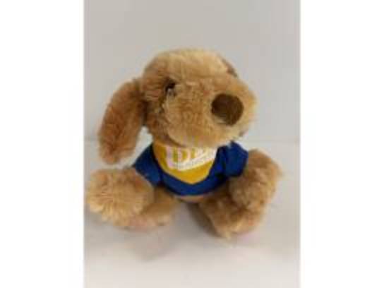 Image of the Item