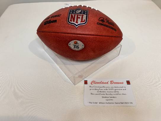 Image of the Item