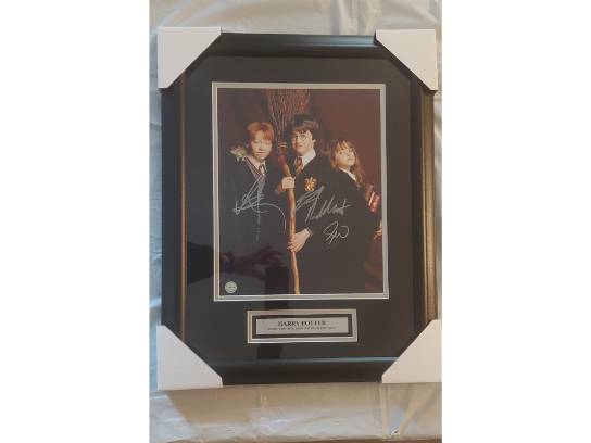 Image of the Item