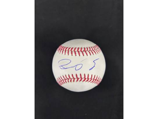 Image of the Item