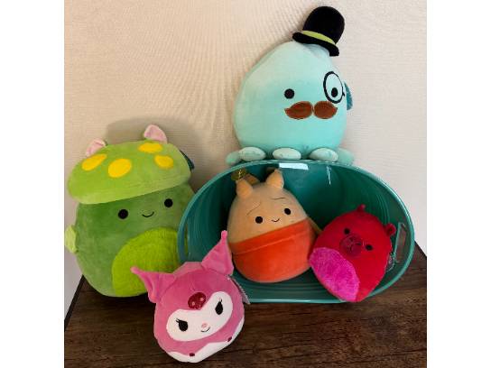 Image of the Item