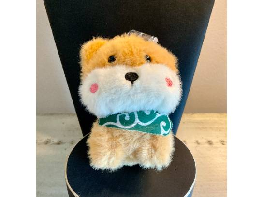 Image of the Item