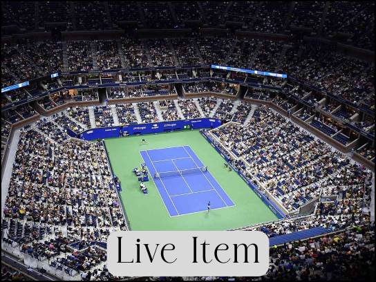 Image of the Item