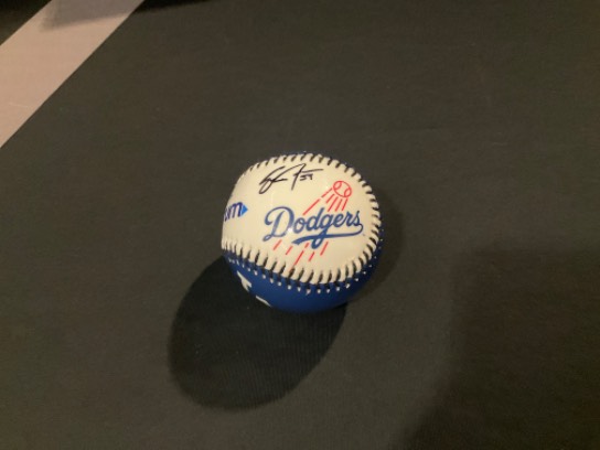 Image of the Item