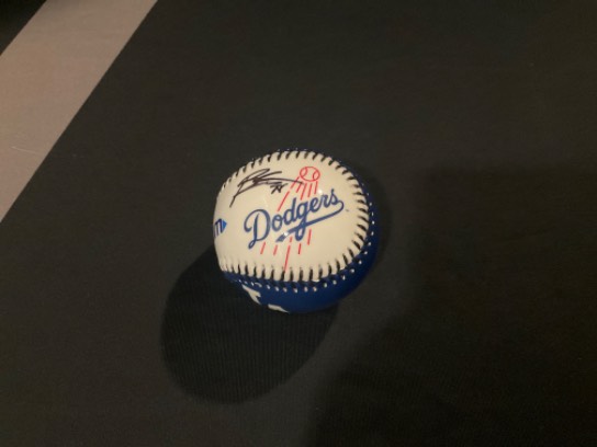 Image of the Item