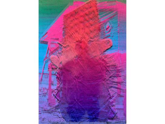 Image of the Item