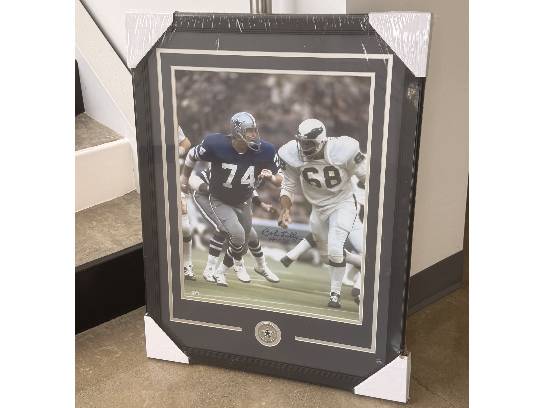 Image of the Item