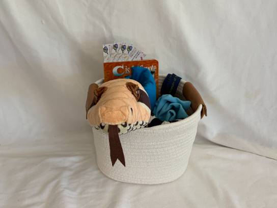 Image of the Item