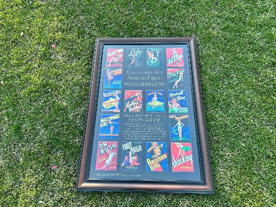 Image of the Item
