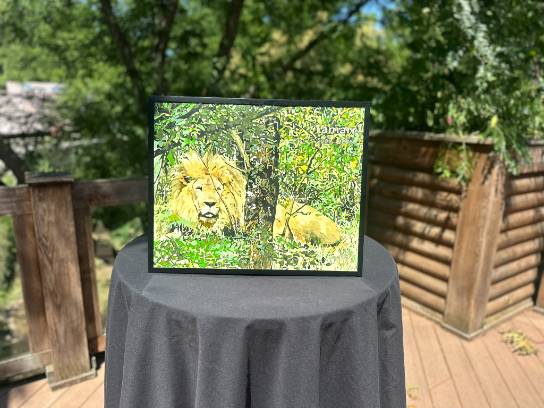 Image of the Item