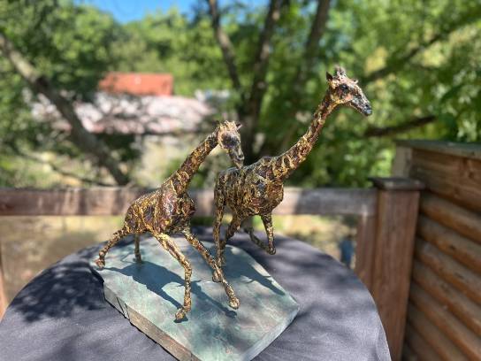 Image of the Item