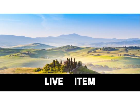 Image of the Item